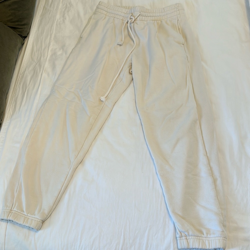 Aritzia sweat pants